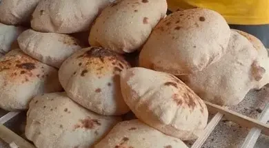 Please Try Agian