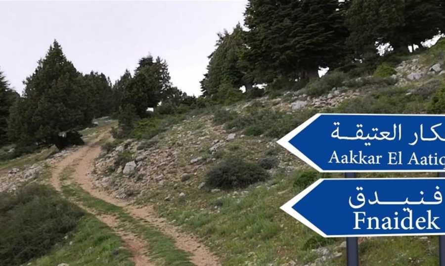Please Try Agian